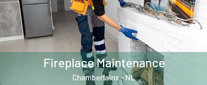  Fireplace Maintenance Chamberlains - NL