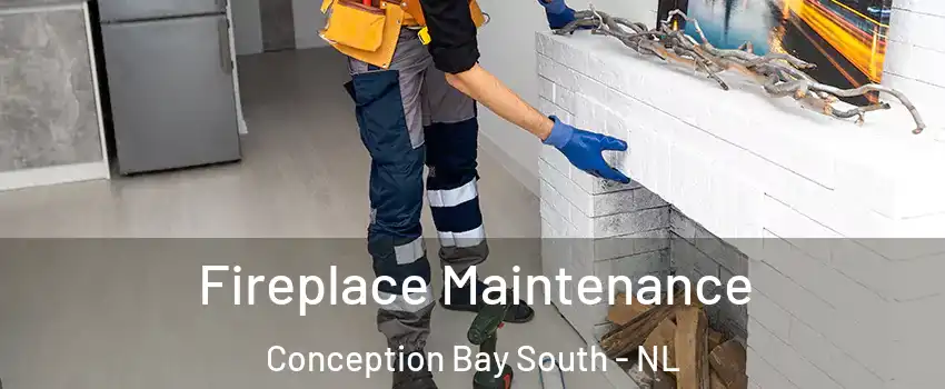  Fireplace Maintenance Conception Bay South - NL