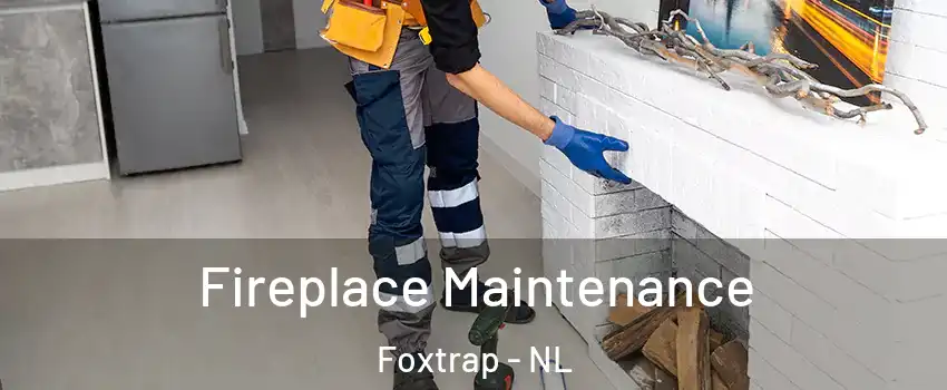  Fireplace Maintenance Foxtrap - NL