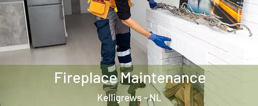  Fireplace Maintenance Kelligrews - NL