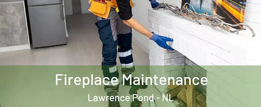  Fireplace Maintenance Lawrence Pond - NL