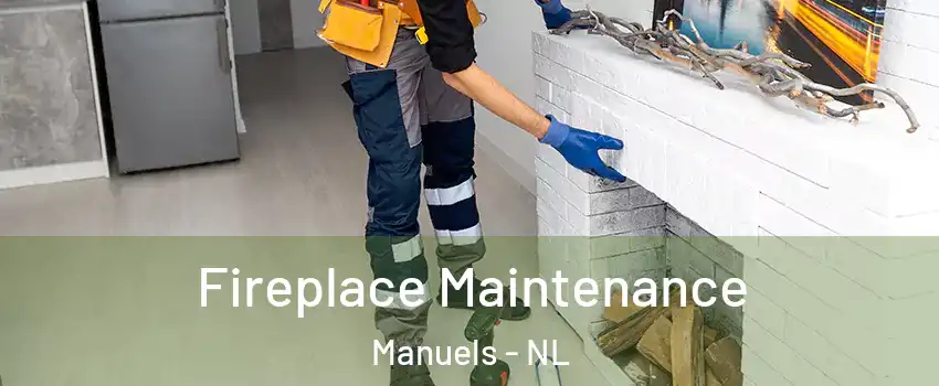  Fireplace Maintenance Manuels - NL