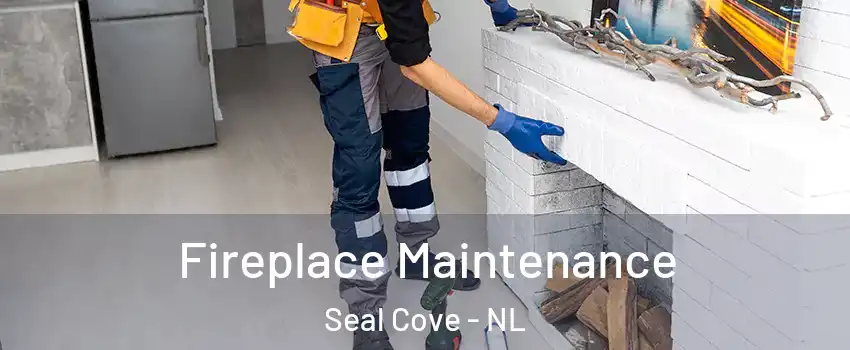  Fireplace Maintenance Seal Cove - NL