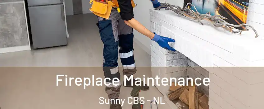  Fireplace Maintenance Sunny CBS - NL