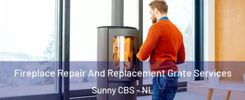  Fireplace Repair And Replacement Grate Services Sunny CBS - NL