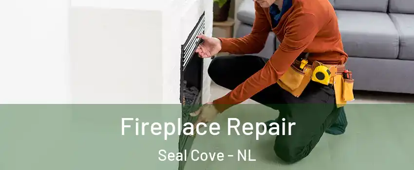  Fireplace Repair Seal Cove - NL