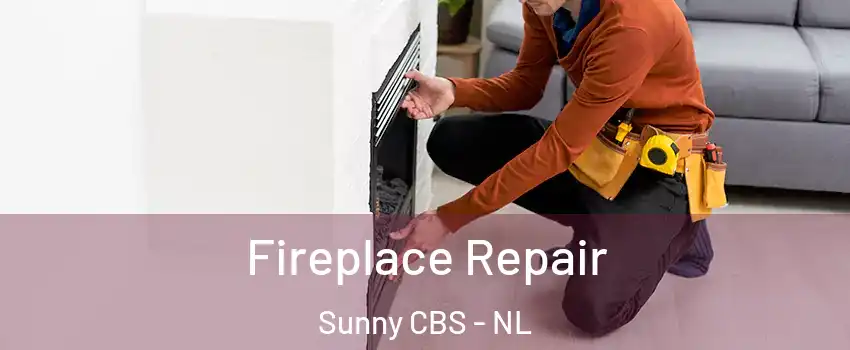  Fireplace Repair Sunny CBS - NL