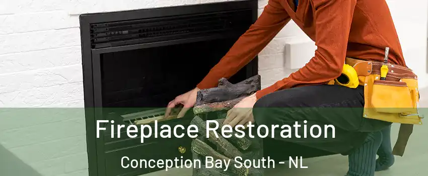  Fireplace Restoration Conception Bay South - NL