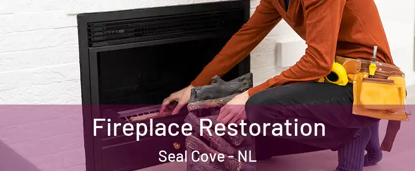  Fireplace Restoration Seal Cove - NL