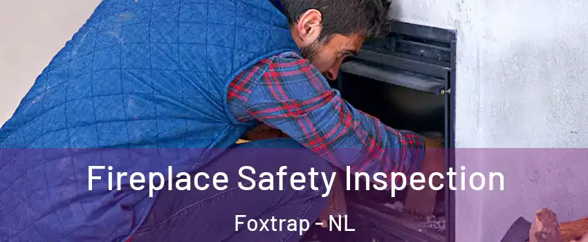  Fireplace Safety Inspection Foxtrap - NL