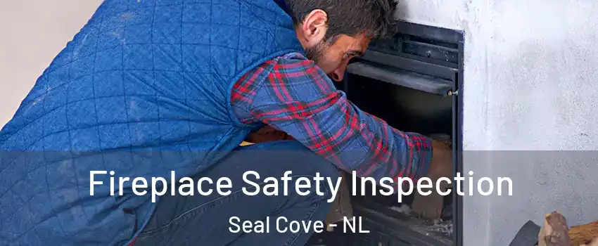  Fireplace Safety Inspection Seal Cove - NL