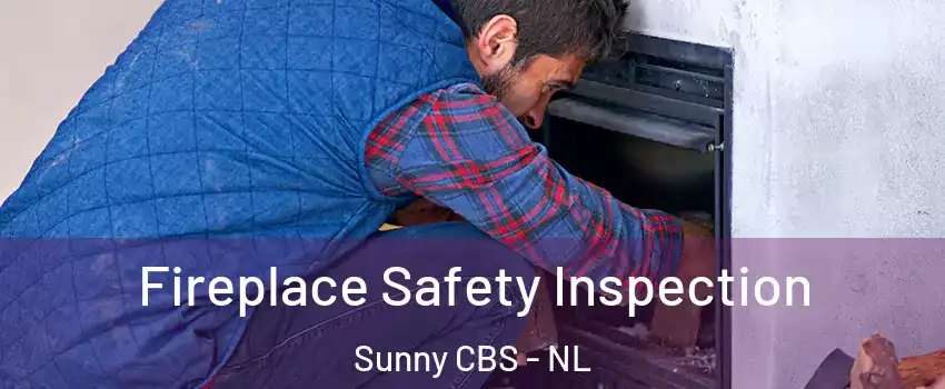  Fireplace Safety Inspection Sunny CBS - NL