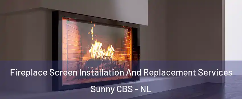 Fireplace Screen Installation And Replacement Services Sunny CBS - NL