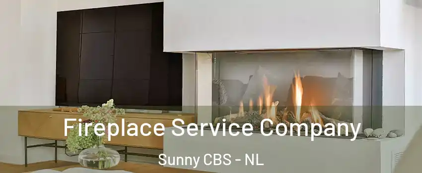  Fireplace Service Company Sunny CBS - NL