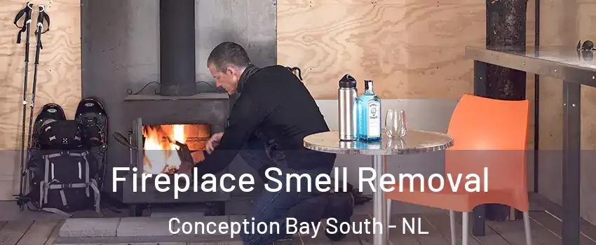  Fireplace Smell Removal Conception Bay South - NL