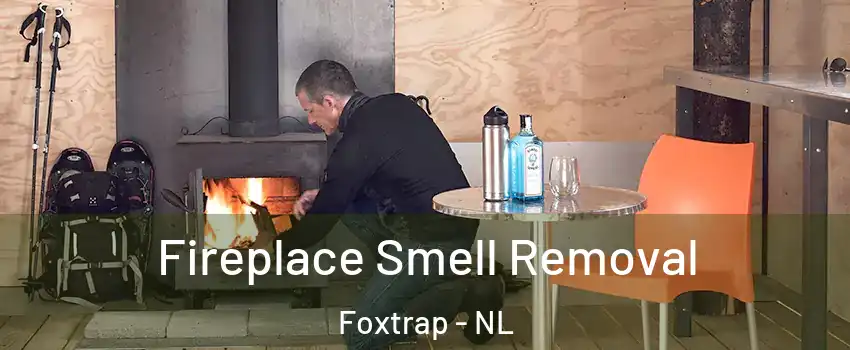  Fireplace Smell Removal Foxtrap - NL