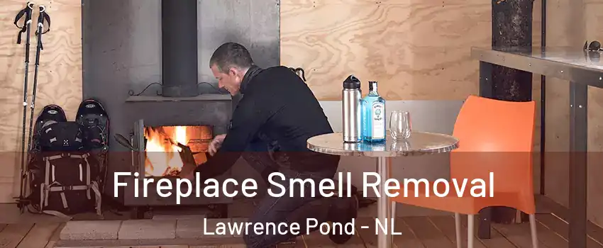  Fireplace Smell Removal Lawrence Pond - NL