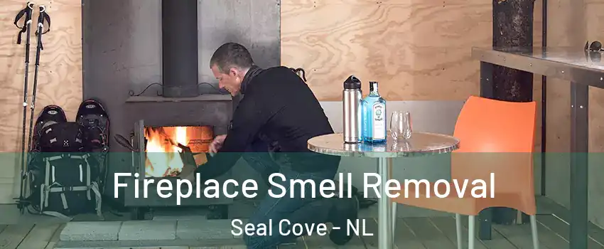  Fireplace Smell Removal Seal Cove - NL