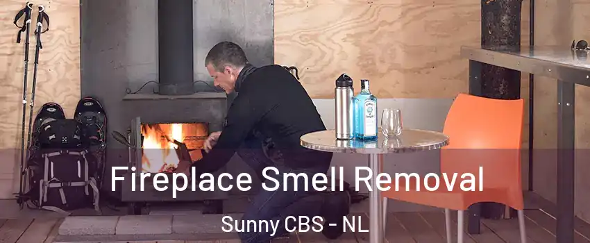  Fireplace Smell Removal Sunny CBS - NL