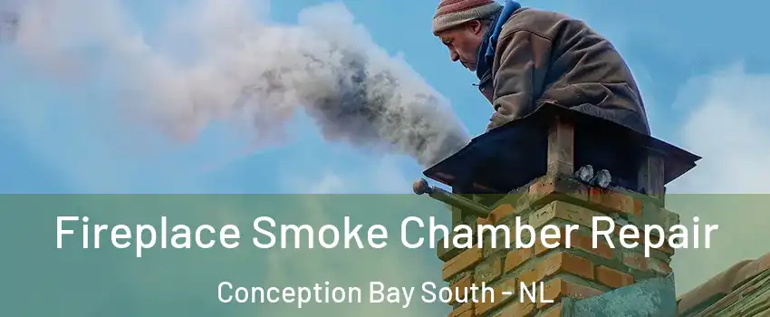  Fireplace Smoke Chamber Repair Conception Bay South - NL