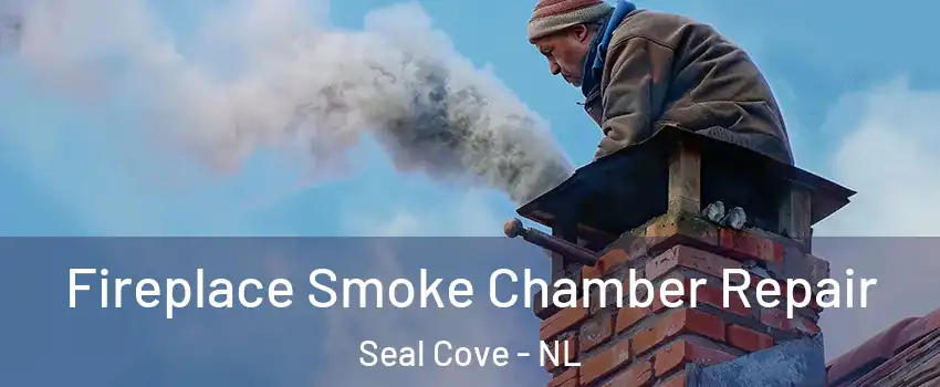  Fireplace Smoke Chamber Repair Seal Cove - NL