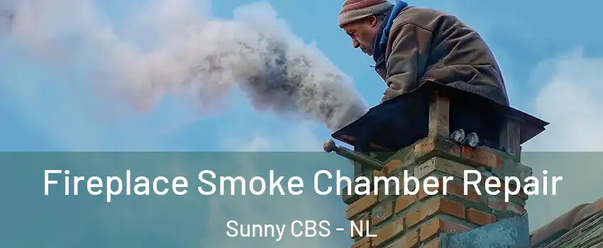  Fireplace Smoke Chamber Repair Sunny CBS - NL