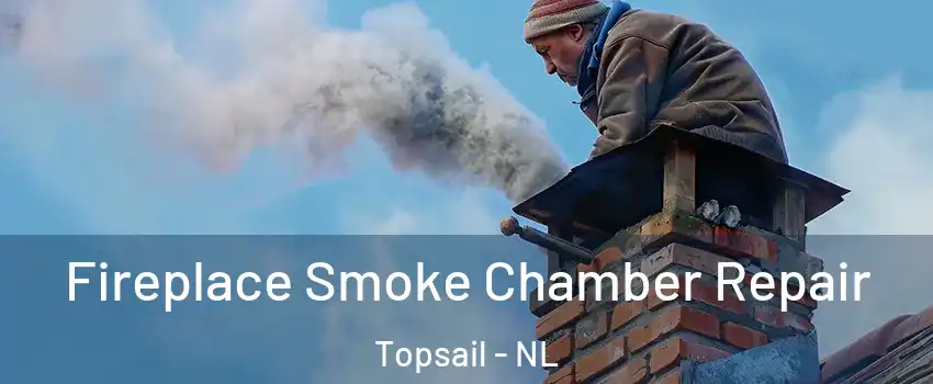  Fireplace Smoke Chamber Repair Topsail - NL