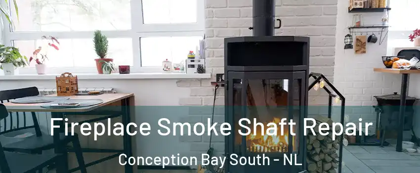  Fireplace Smoke Shaft Repair Conception Bay South - NL