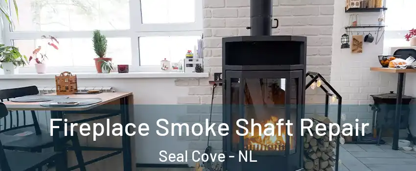  Fireplace Smoke Shaft Repair Seal Cove - NL