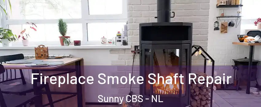  Fireplace Smoke Shaft Repair Sunny CBS - NL