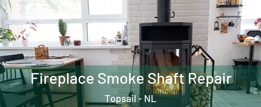  Fireplace Smoke Shaft Repair Topsail - NL