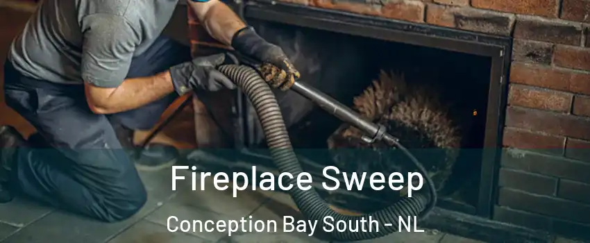  Fireplace Sweep Conception Bay South - NL