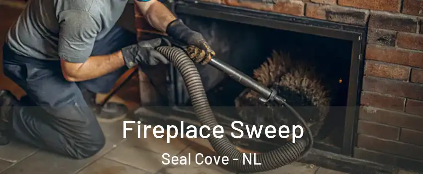  Fireplace Sweep Seal Cove - NL