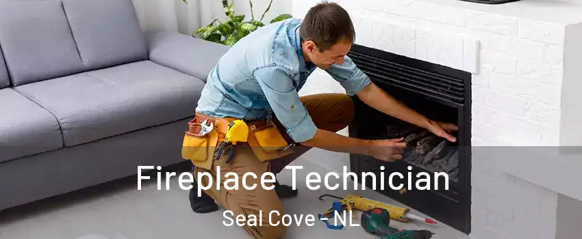 Fireplace Technician Seal Cove - NL