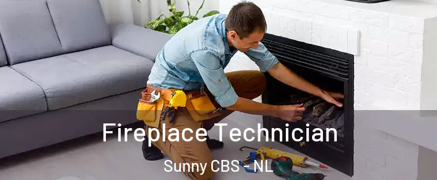  Fireplace Technician Sunny CBS - NL