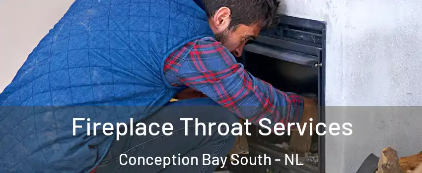  Fireplace Throat Services Conception Bay South - NL