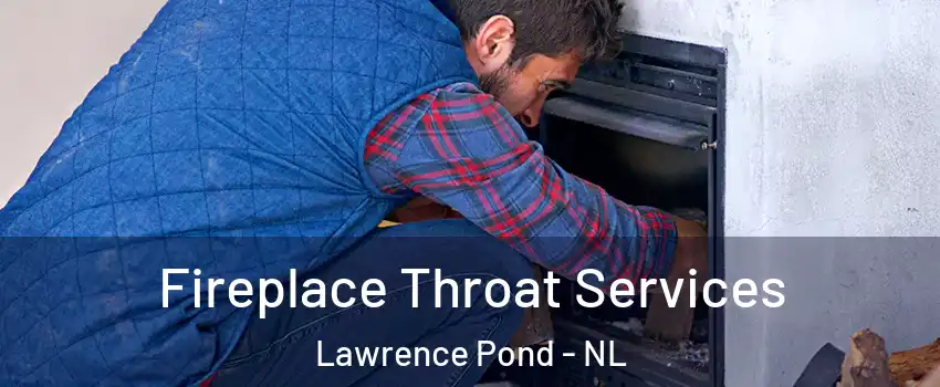  Fireplace Throat Services Lawrence Pond - NL