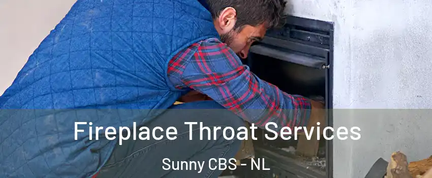  Fireplace Throat Services Sunny CBS - NL