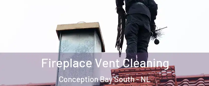  Fireplace Vent Cleaning Conception Bay South - NL