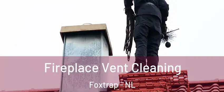  Fireplace Vent Cleaning Foxtrap - NL