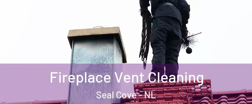  Fireplace Vent Cleaning Seal Cove - NL