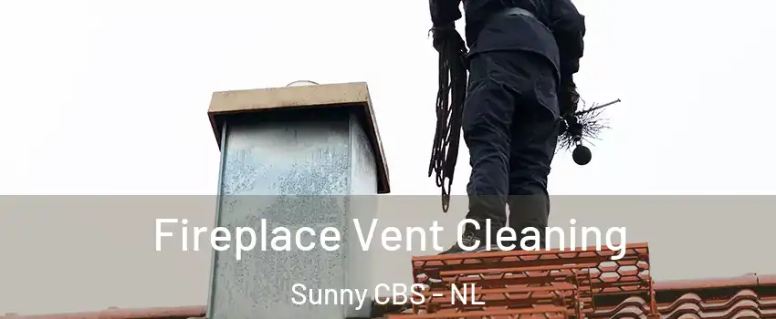  Fireplace Vent Cleaning Sunny CBS - NL