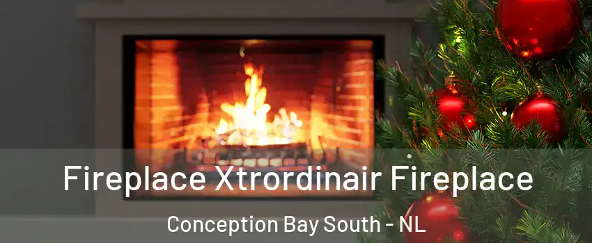  Fireplace Xtrordinair Fireplace Conception Bay South - NL