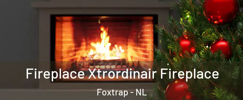  Fireplace Xtrordinair Fireplace Foxtrap - NL