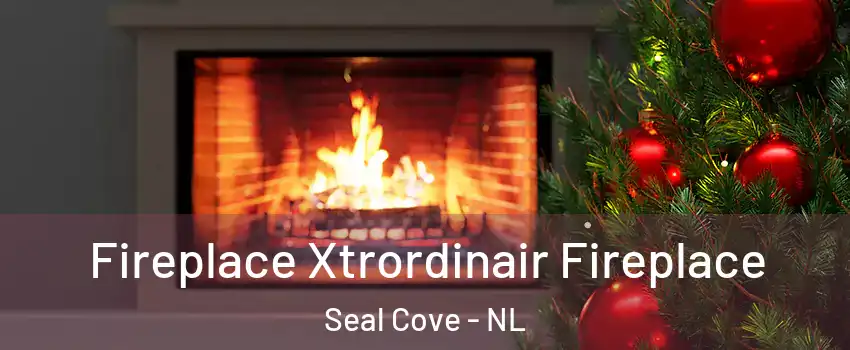 Fireplace Xtrordinair Fireplace Seal Cove - NL