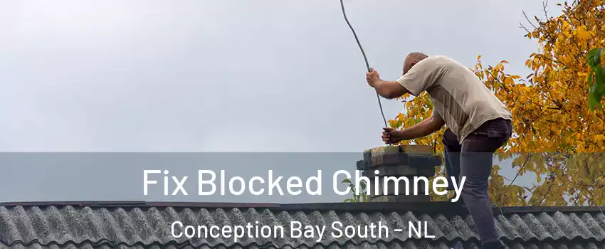  Fix Blocked Chimney Conception Bay South - NL