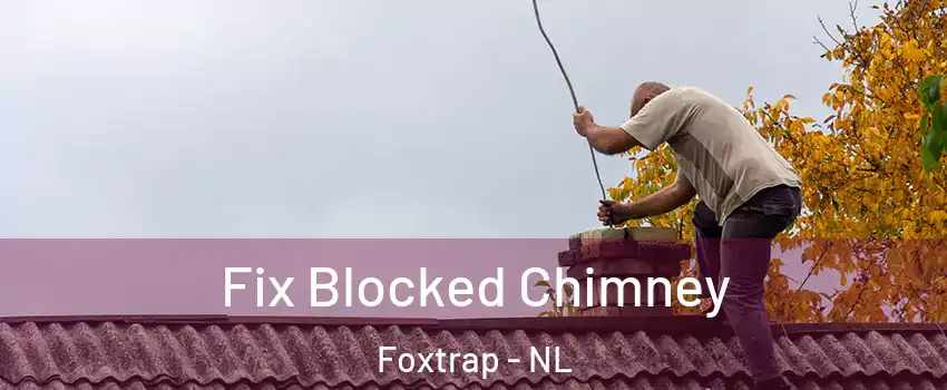  Fix Blocked Chimney Foxtrap - NL