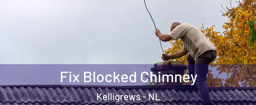  Fix Blocked Chimney Kelligrews - NL