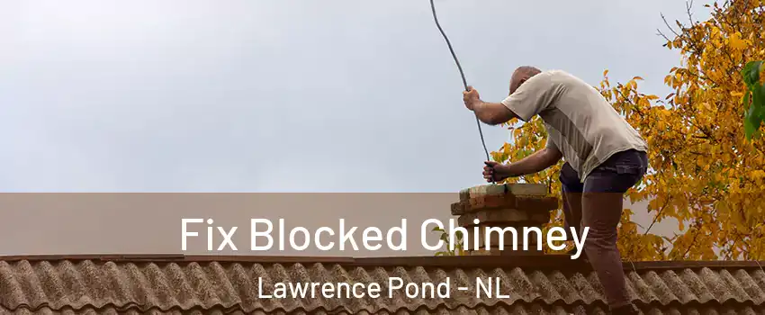  Fix Blocked Chimney Lawrence Pond - NL