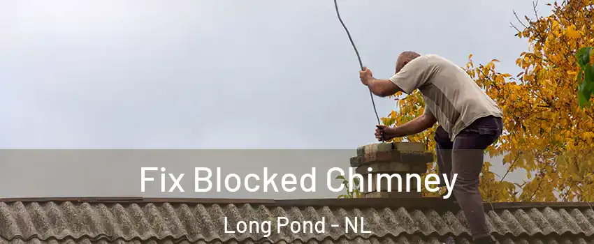  Fix Blocked Chimney Long Pond - NL